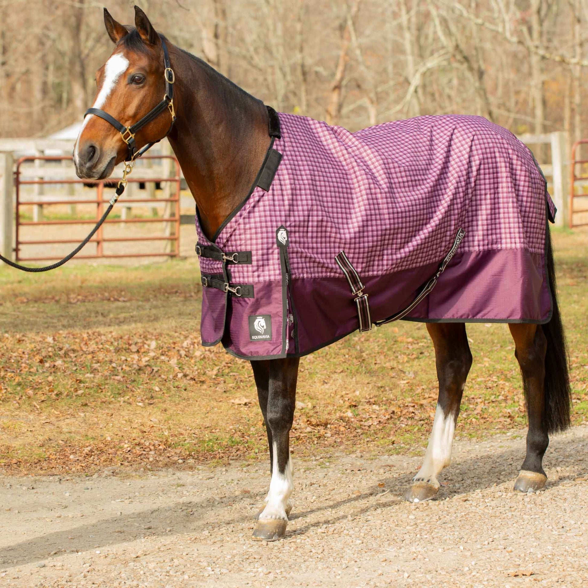 Equinavia Norse Heavy Weight TO 300g