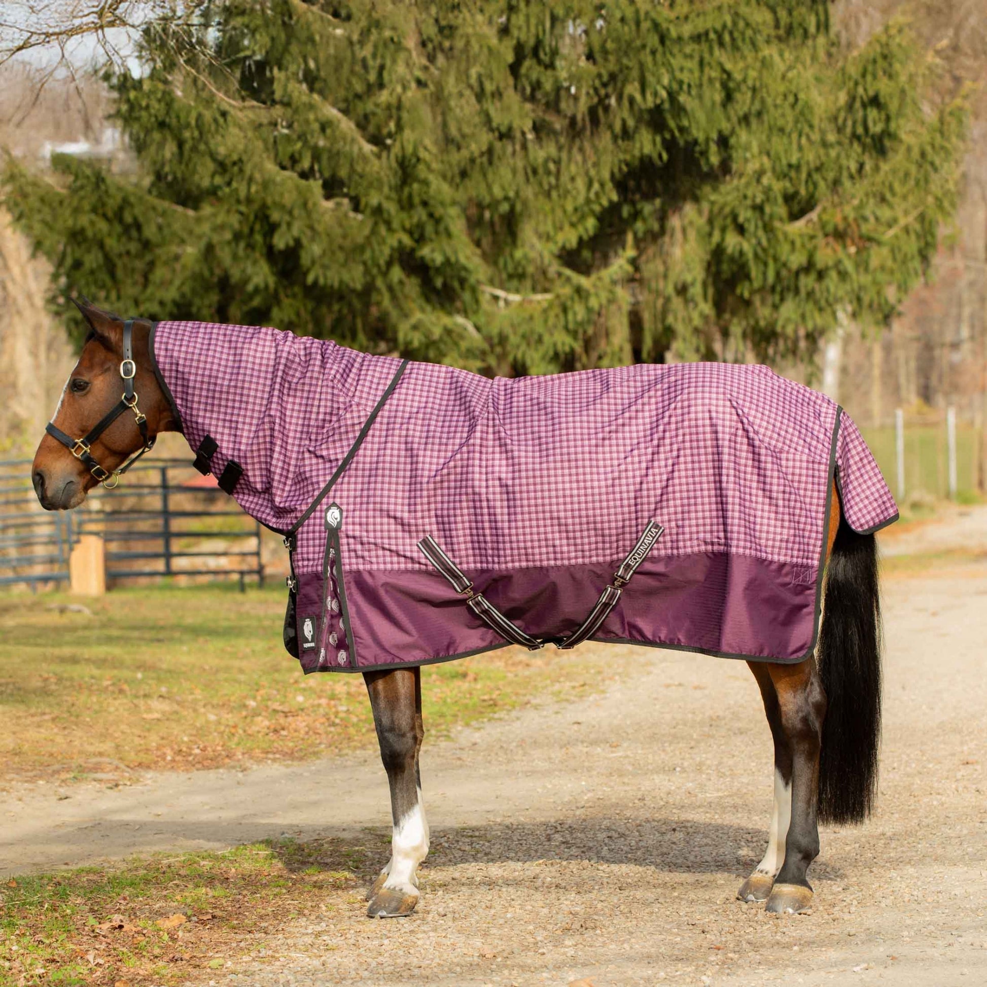 Equinavia Norse Heavy Weight TO 300g