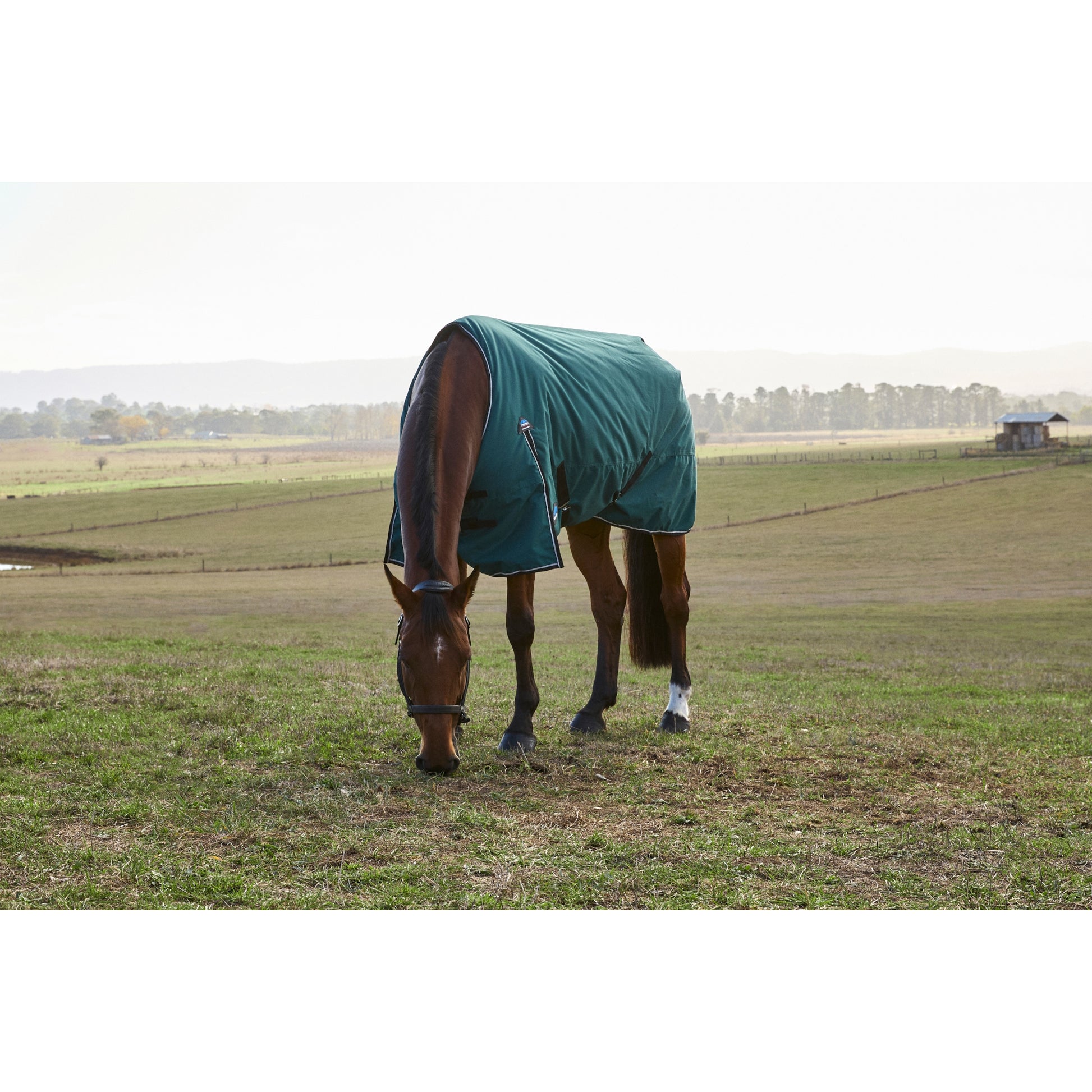 Weatherbeeta ComFiTec Plus Dynamic Turnout Detach-A-Neck 360g