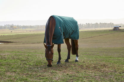 Weatherbeeta ComFiTec Plus Dynamic Turnout Detach-A-Neck 360g