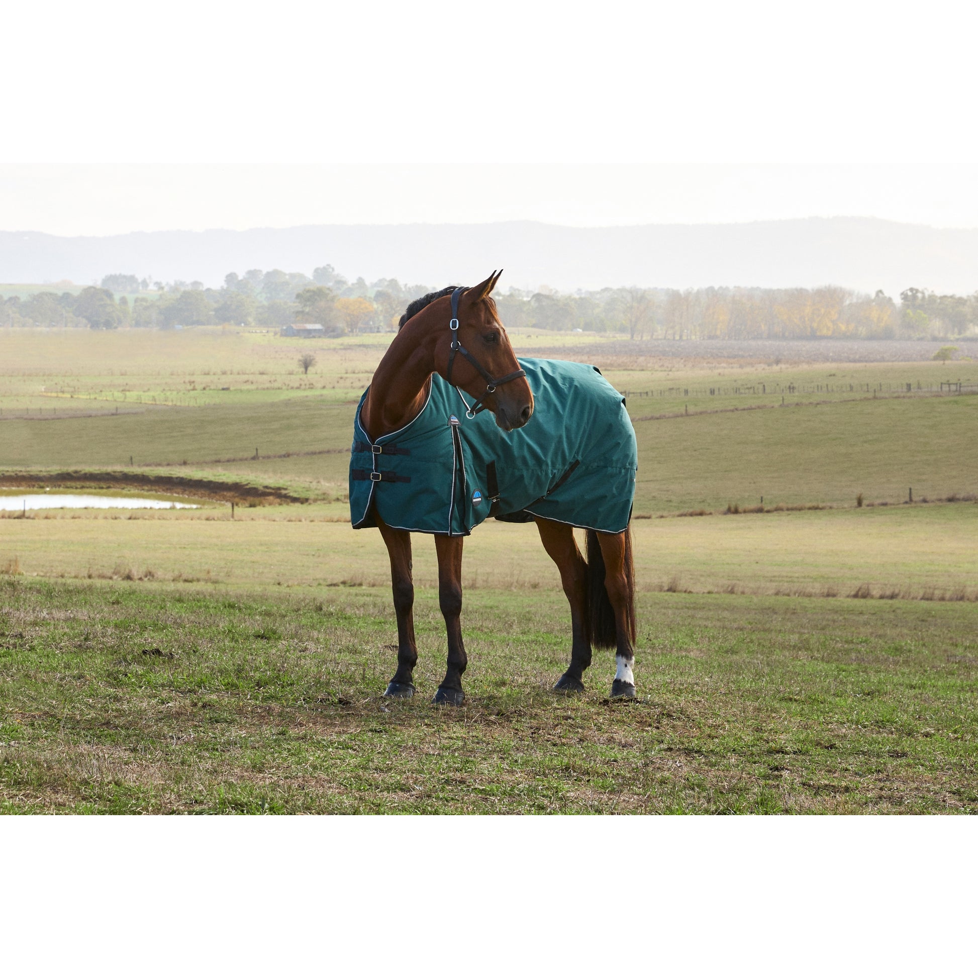 Weatherbeeta ComFiTec Plus Dynamic Turnout Detach-A-Neck 360g