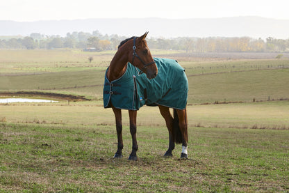 Weatherbeeta ComFiTec Plus Dynamic Turnout Detach-A-Neck 360g