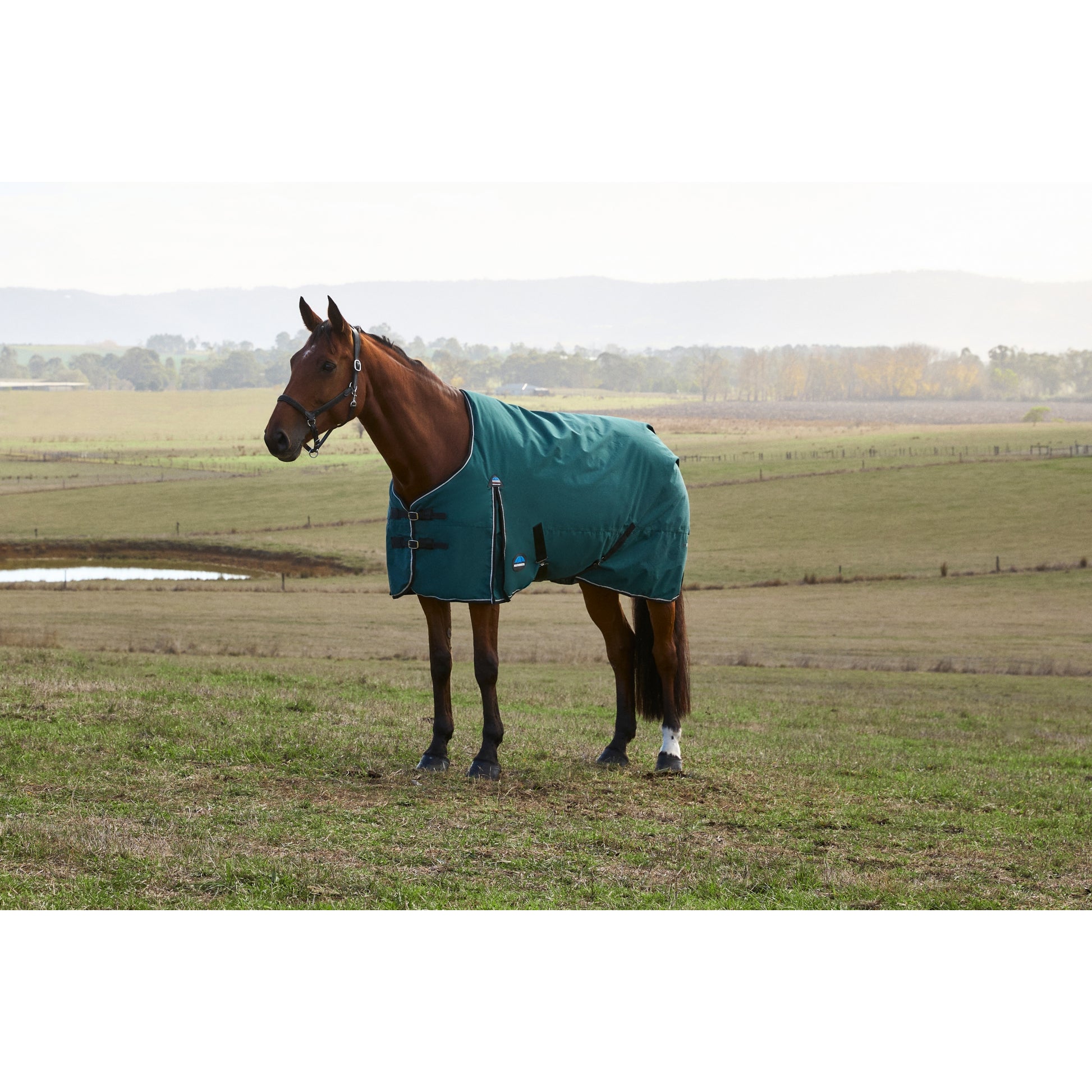 Weatherbeeta ComFiTec Plus Dynamic Turnout Detach-A-Neck 360g