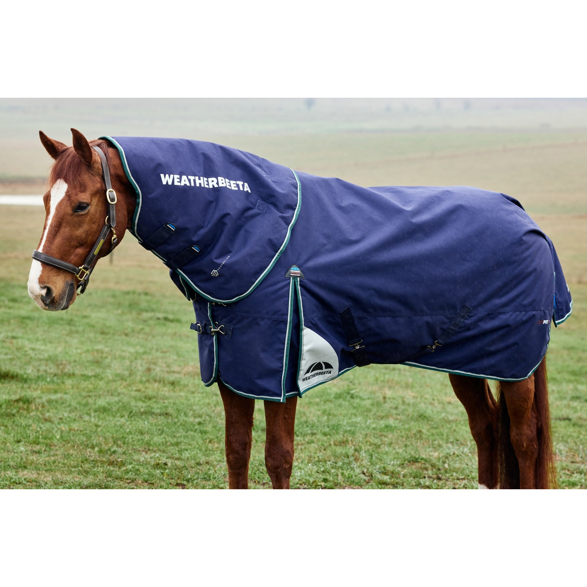 Weatherbeeta ComFiTec Plus Dynamic Turnout Detach-A-Neck 360g