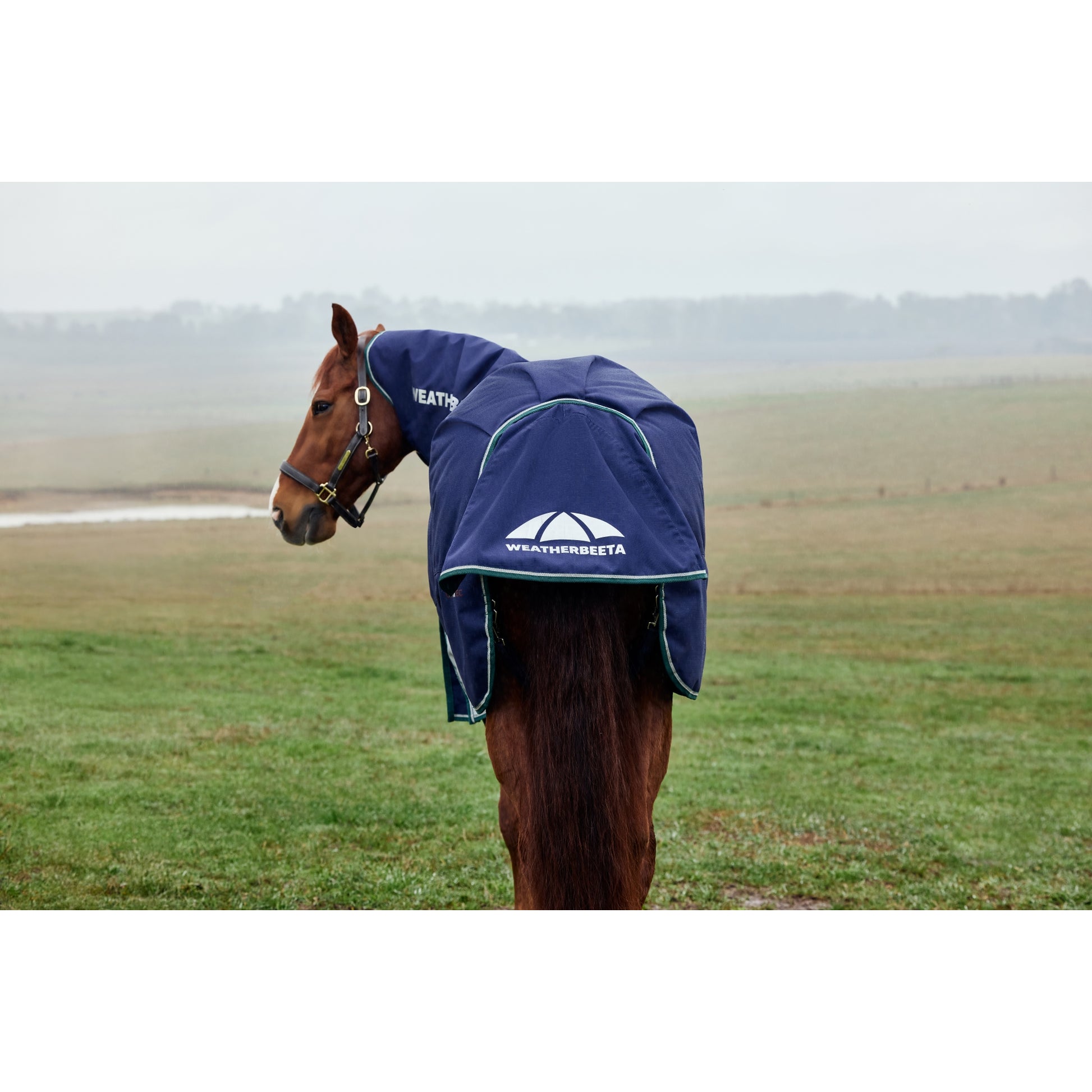 Weatherbeeta ComFiTec Plus Dynamic Turnout Detach-A-Neck 360g