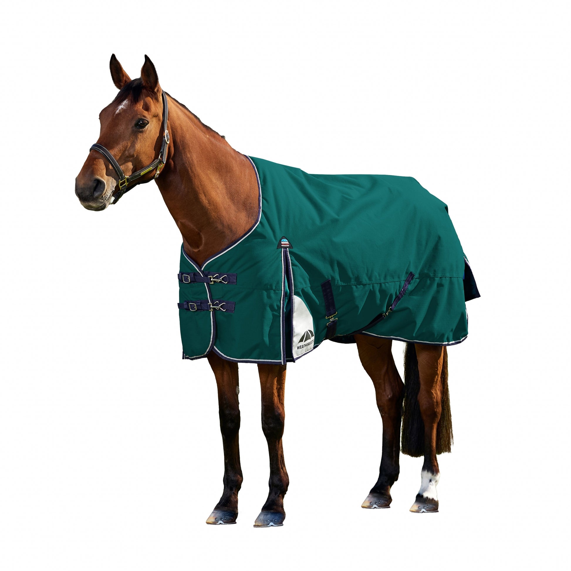 Weatherbeeta ComFiTec Plus Dynamic Turnout Standard Neck 220g