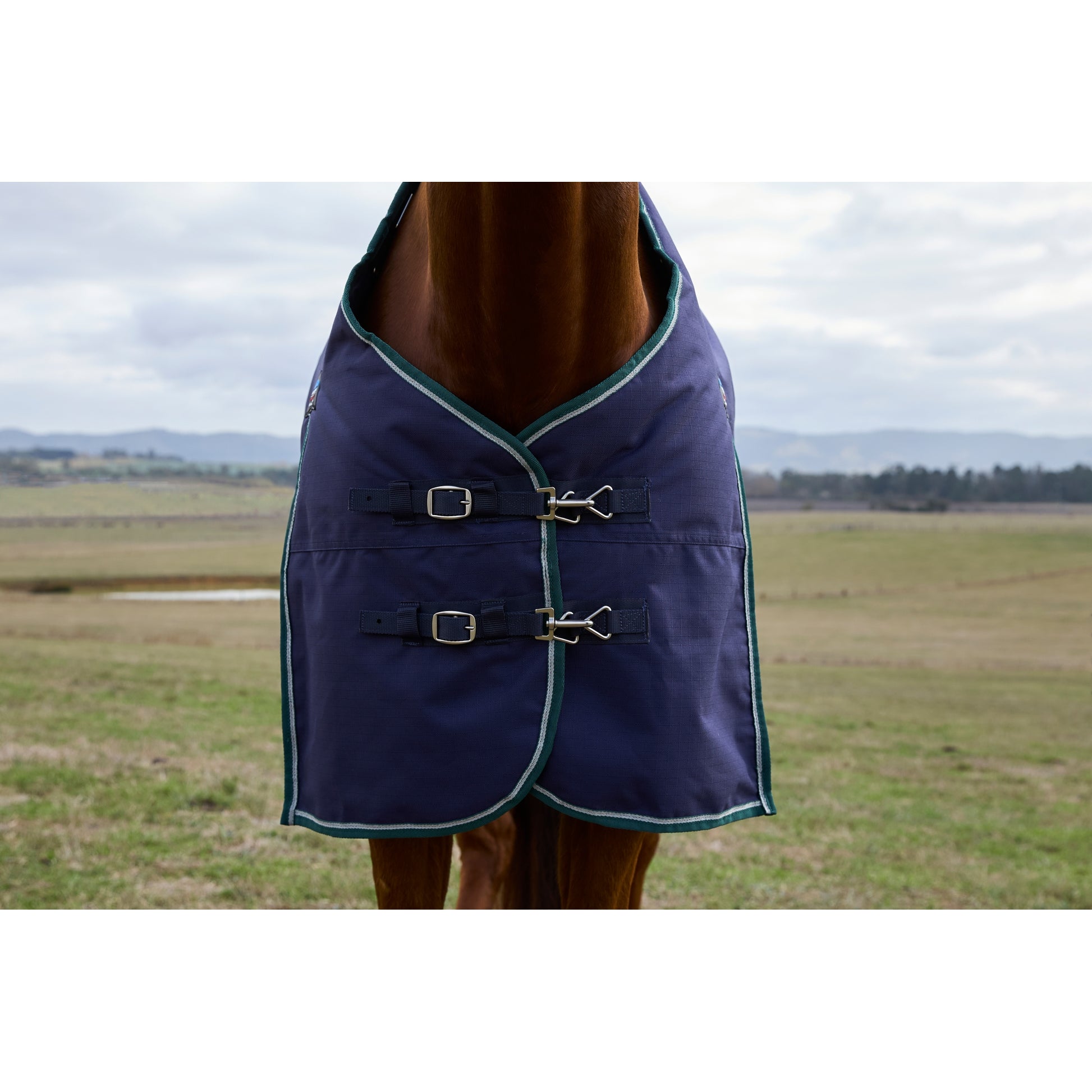 Weatherbeeta ComFiTec Plus Dynamic Turnout Standard Neck 220g