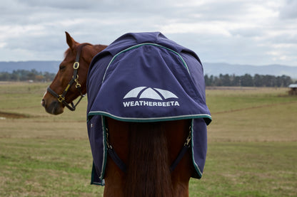 Weatherbeeta ComFiTec Plus Dynamic Turnout Standard Neck 220g