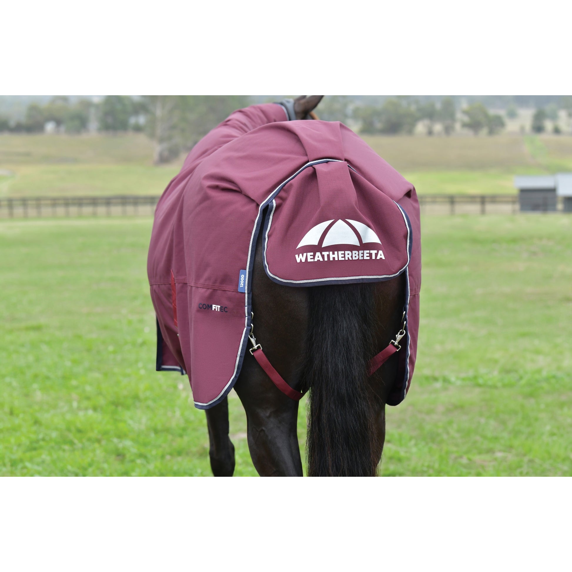 Weatherbeeta ComFiTec Essential Turnout Detach-A-Neck 220g