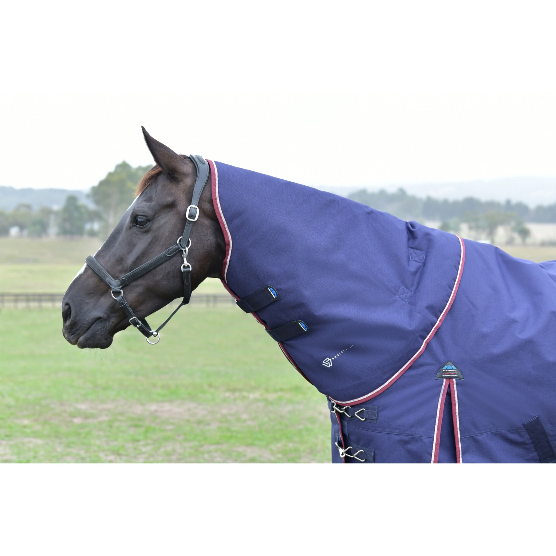 Weatherbeeta ComFiTec Essential Turnout Detach-A-Neck 220g