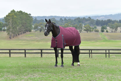Weatherbeeta ComFiTec Essential Turnout Standard Neck 220g