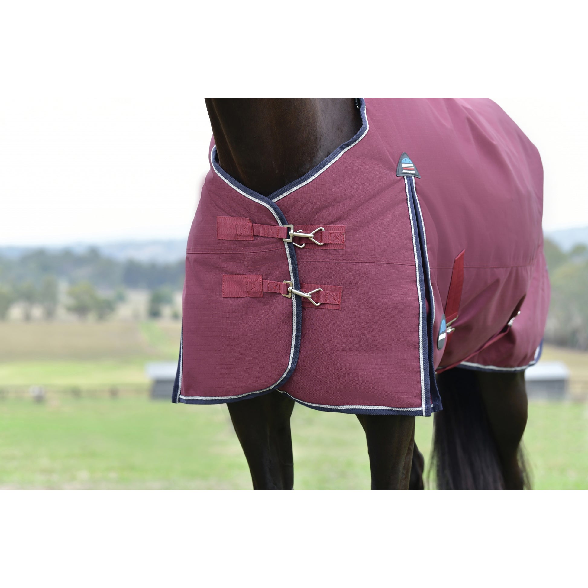 Weatherbeeta ComFiTec Essential Turnout Standard Neck 220g