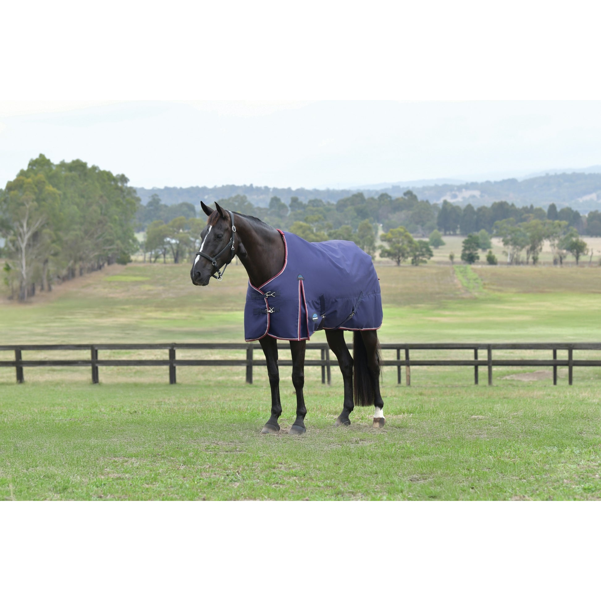 Weatherbeeta ComFiTec Essential Turnout Standard Neck 220g