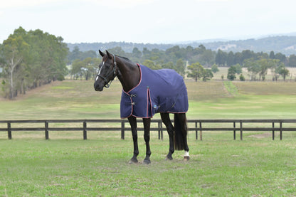 Weatherbeeta ComFiTec Essential Turnout Standard Neck 220g