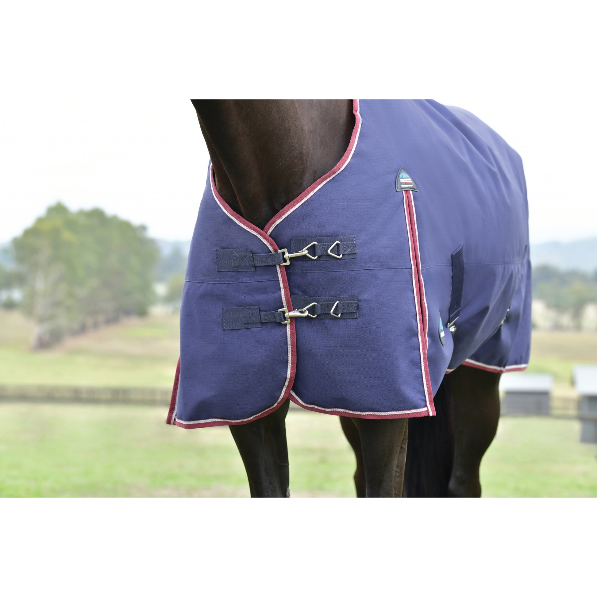 Weatherbeeta ComFiTec Essential Turnout Standard Neck 220g