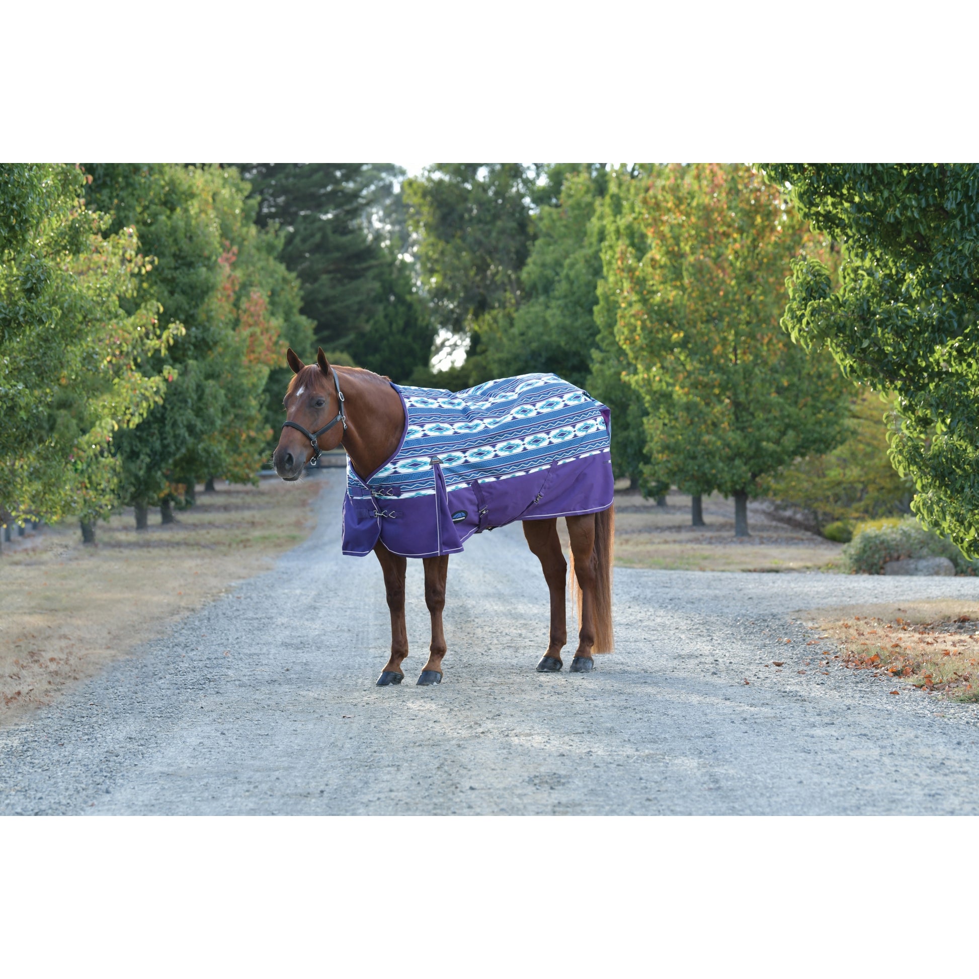 Weatherbeeta ComFiTec Essential Turnout Standard Neck 220g