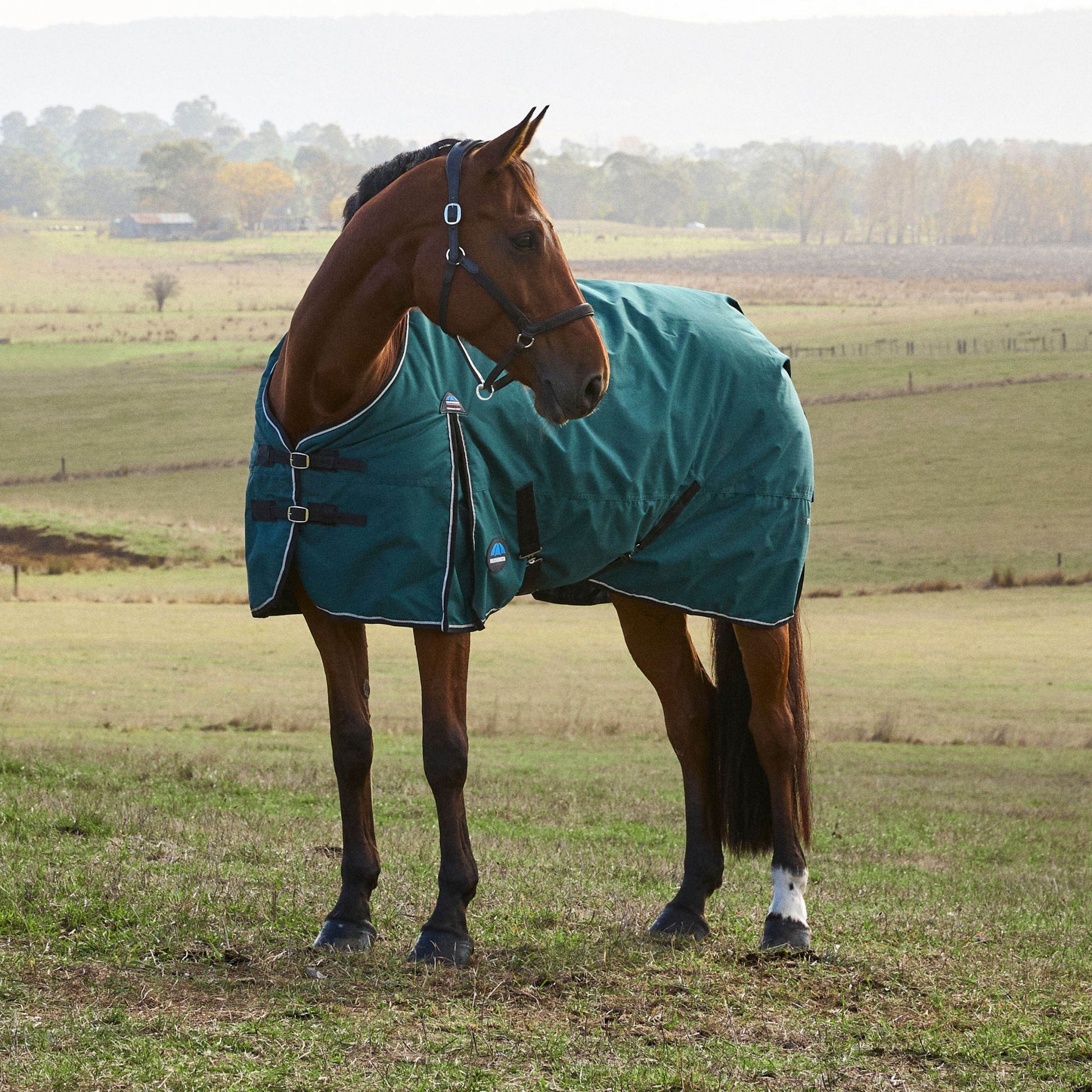 Weatherbeeta ComFiTec Classic Turnout Standard Neck 0g