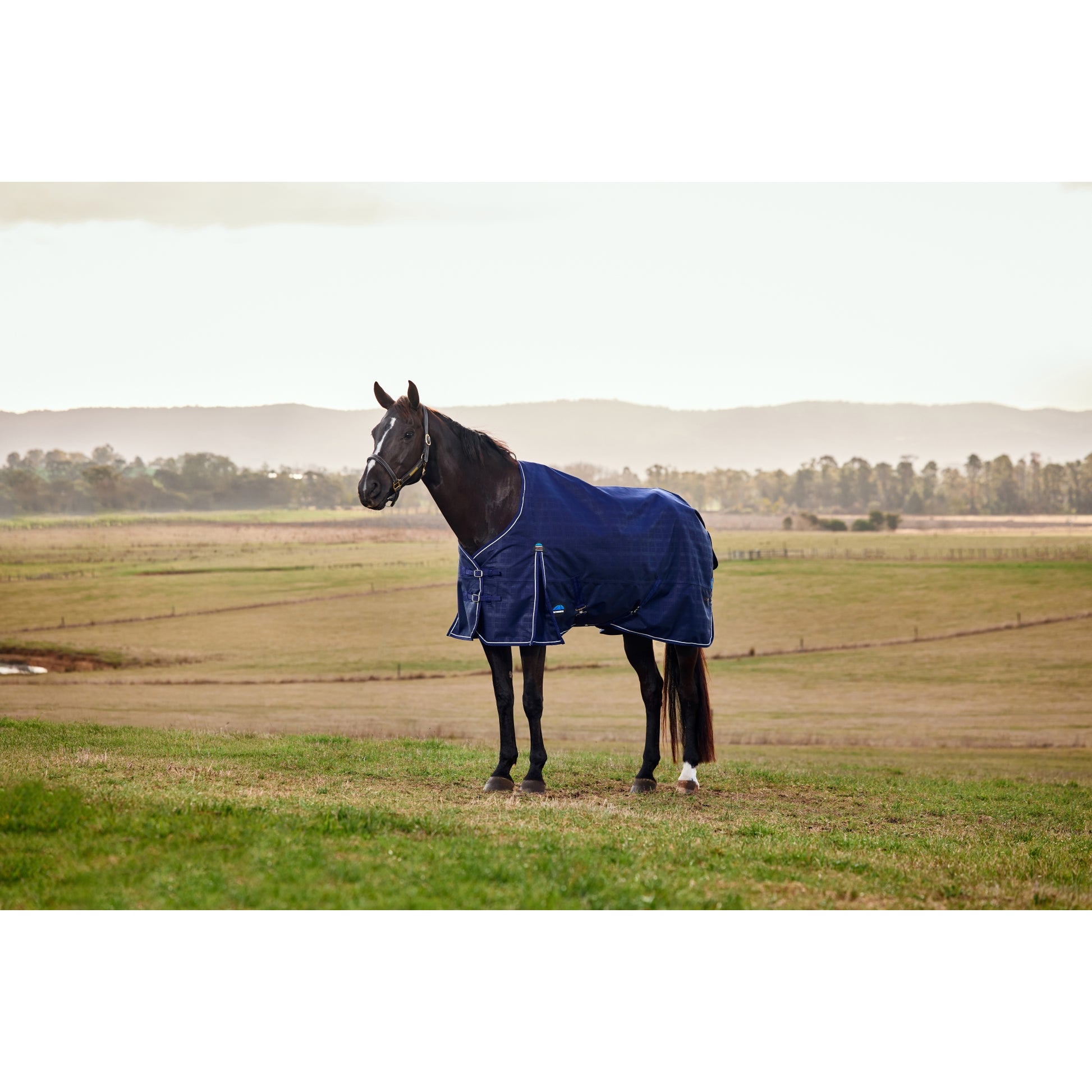 Weatherbeeta ComFiTec Prelim Turnout Standard Neck 0g