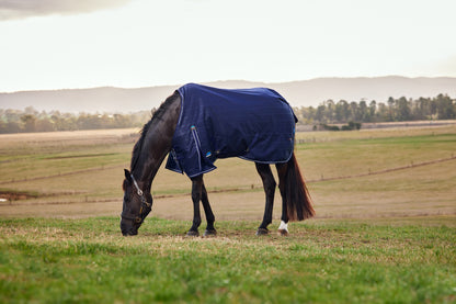 Weatherbeeta ComFiTec Prelim Turnout Standard Neck 0g