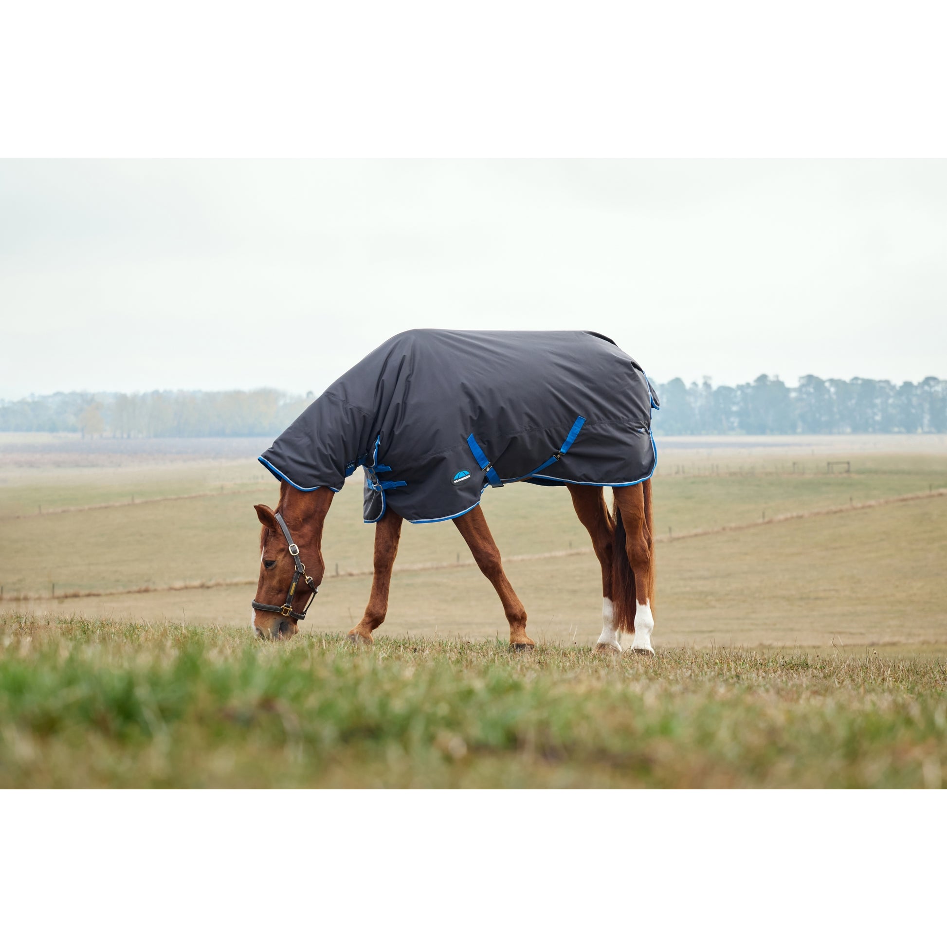 Weatherbeeta ComFiTec Tyro Turnout Combo Neck 220g