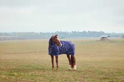 Weatherbeeta ComFiTec Tyro Turnout Combo Neck 220g