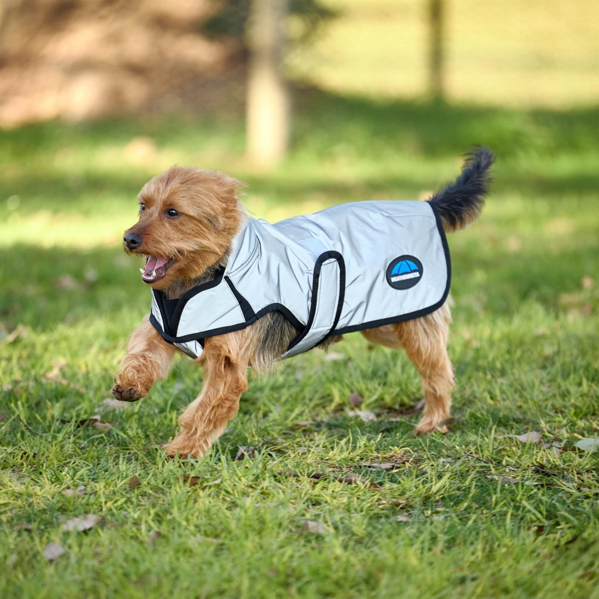 Weatherbeeta ComFiTec Reflective Showerproof Dog Coat