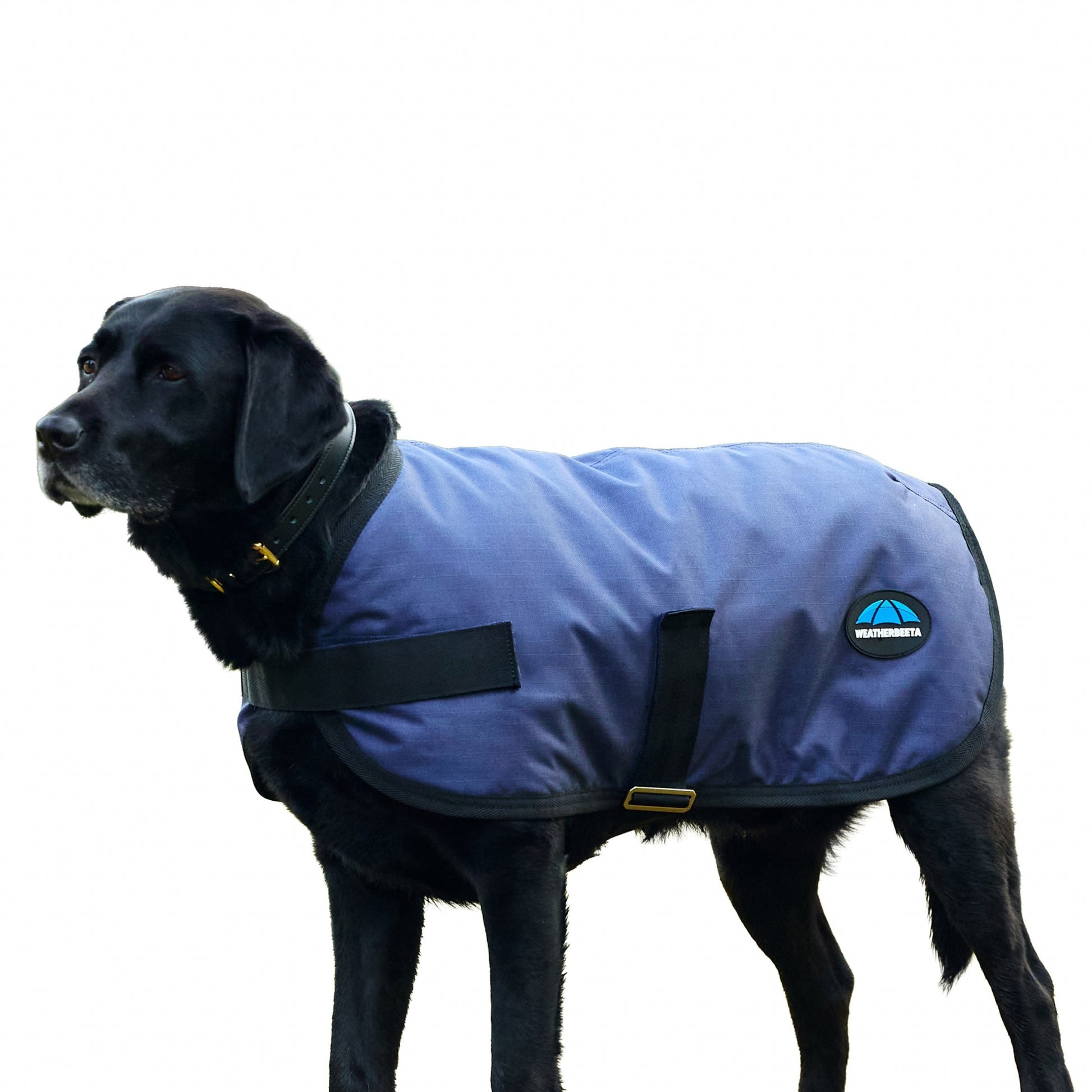 Weatherbeeta ComFiTec Classic Waterproof Dog Coat
