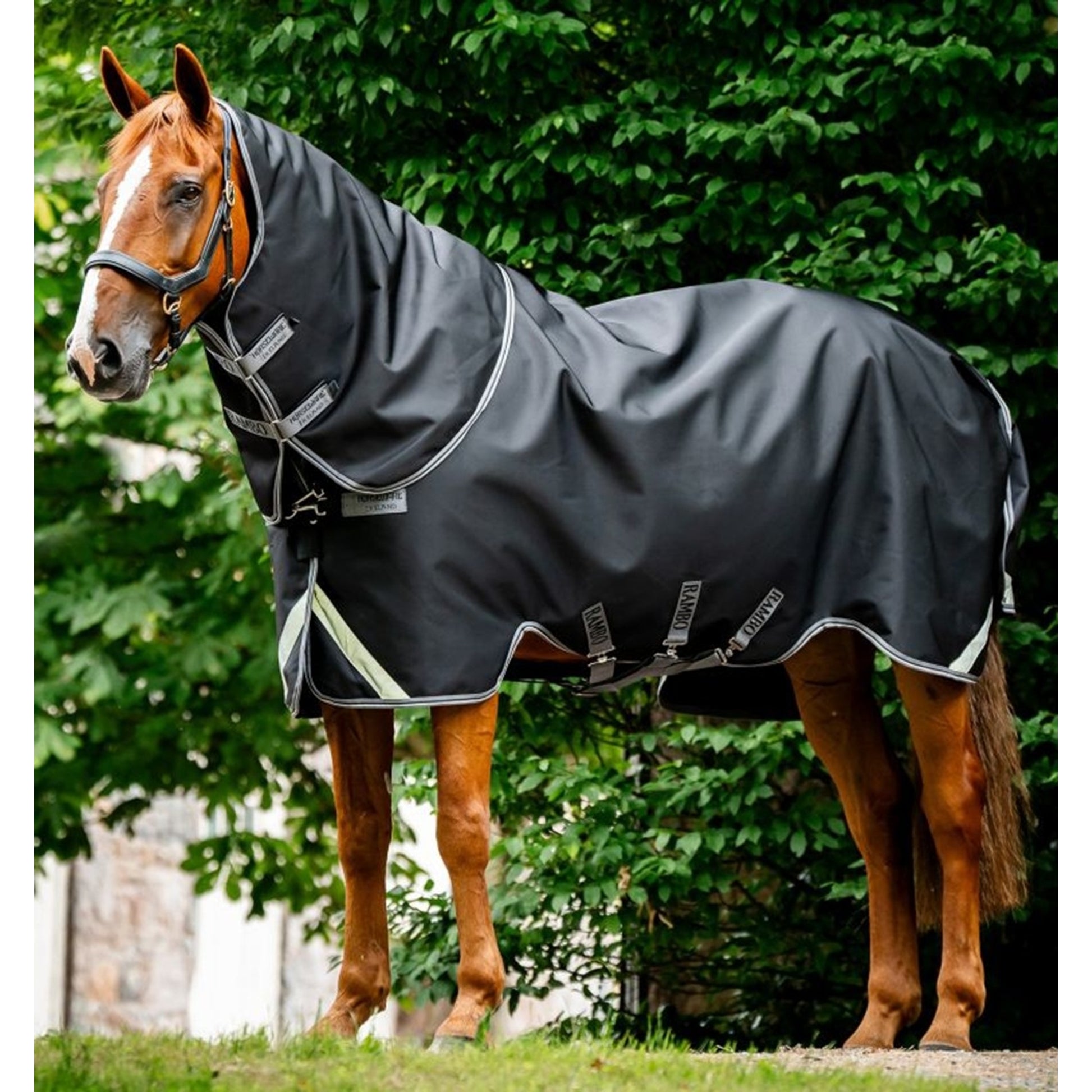 Rambo 1680D Plus Turnout 100g