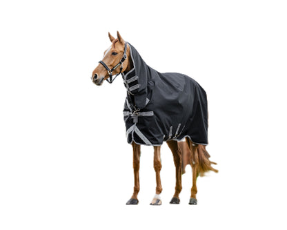 Amigo 1200D Integrated Turnout 0g