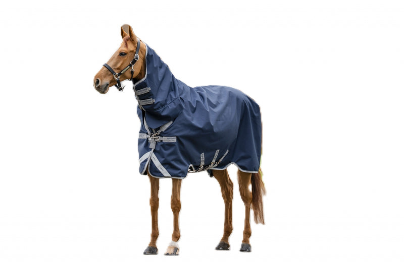 Amigo 1200D Integrated Turnout 50g