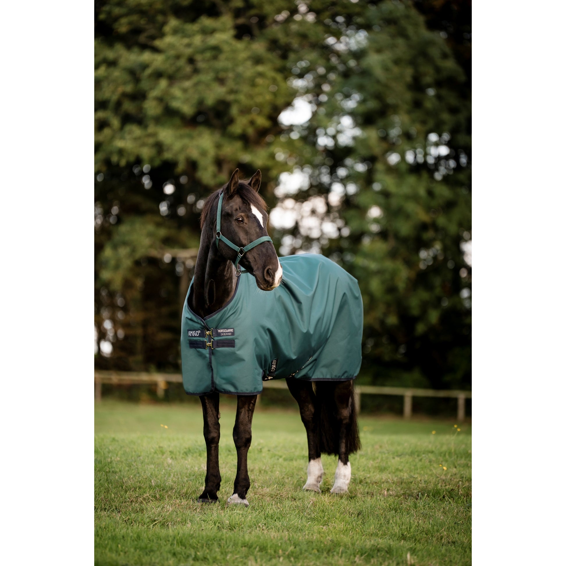 Amigo Ripstop 900D Turnout 100g