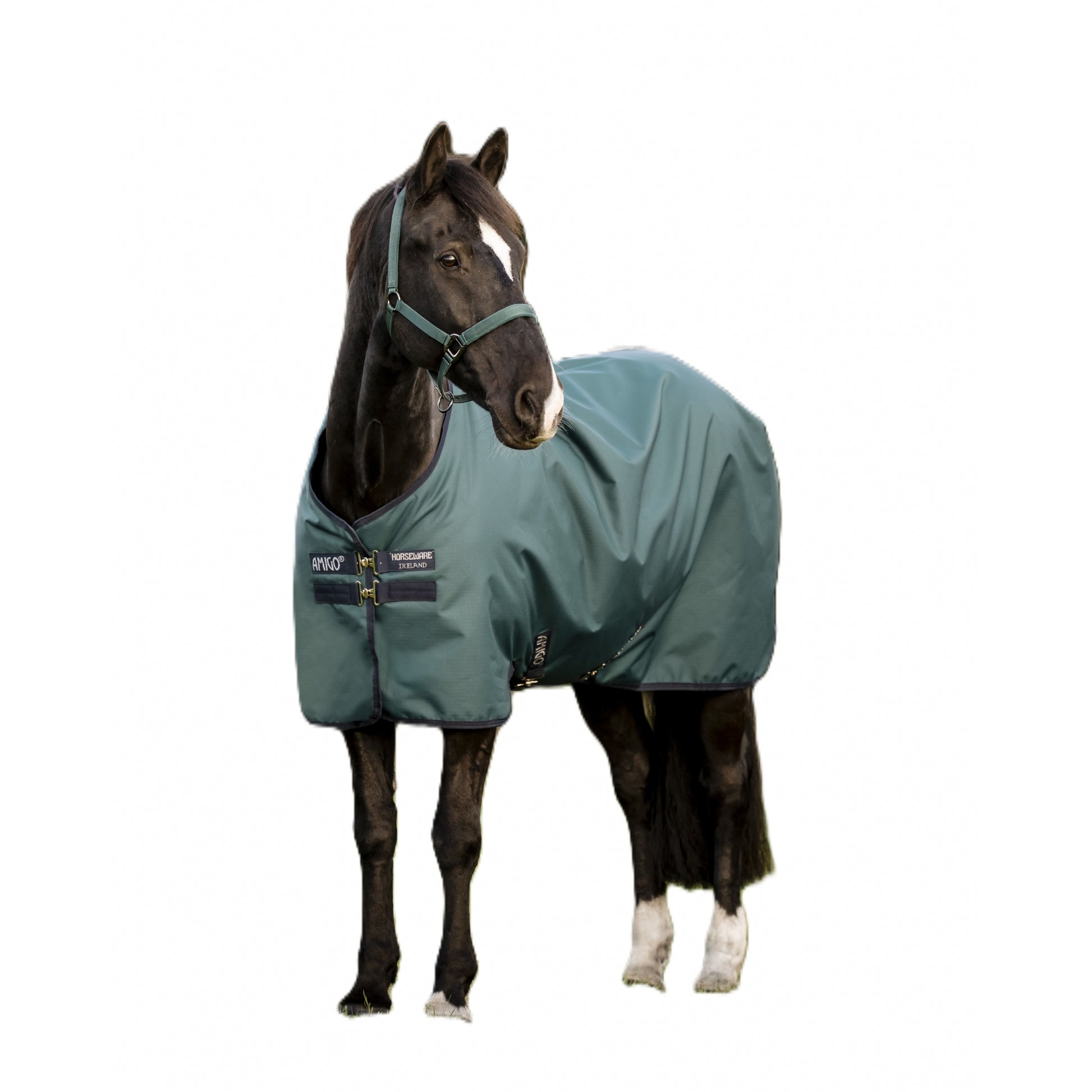 Amigo Ripstop 900D Turnout 100g
