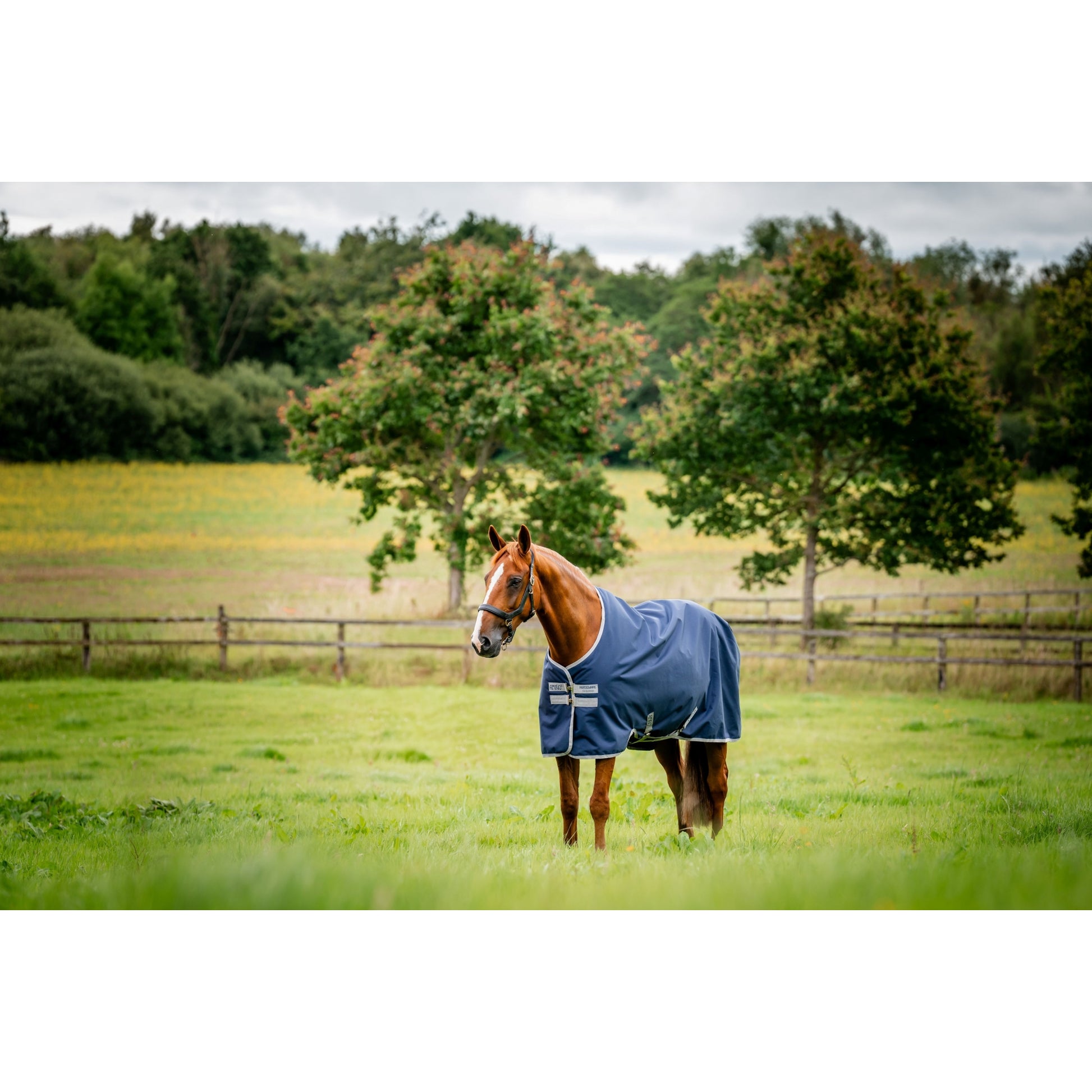 Amigo Ripstop 900D Turnout 200g