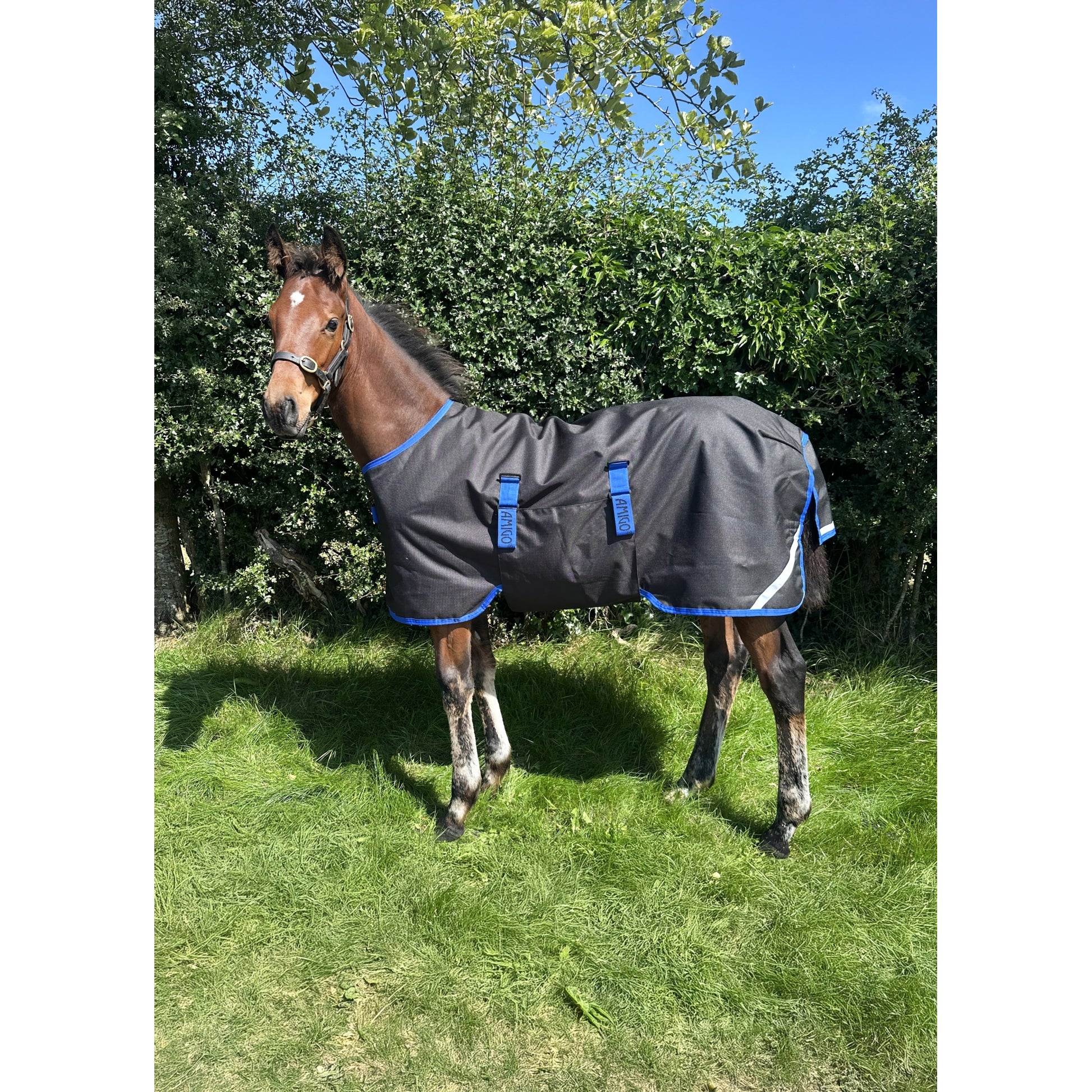 Amigo Ripstop 900D Foal Turnout 50g