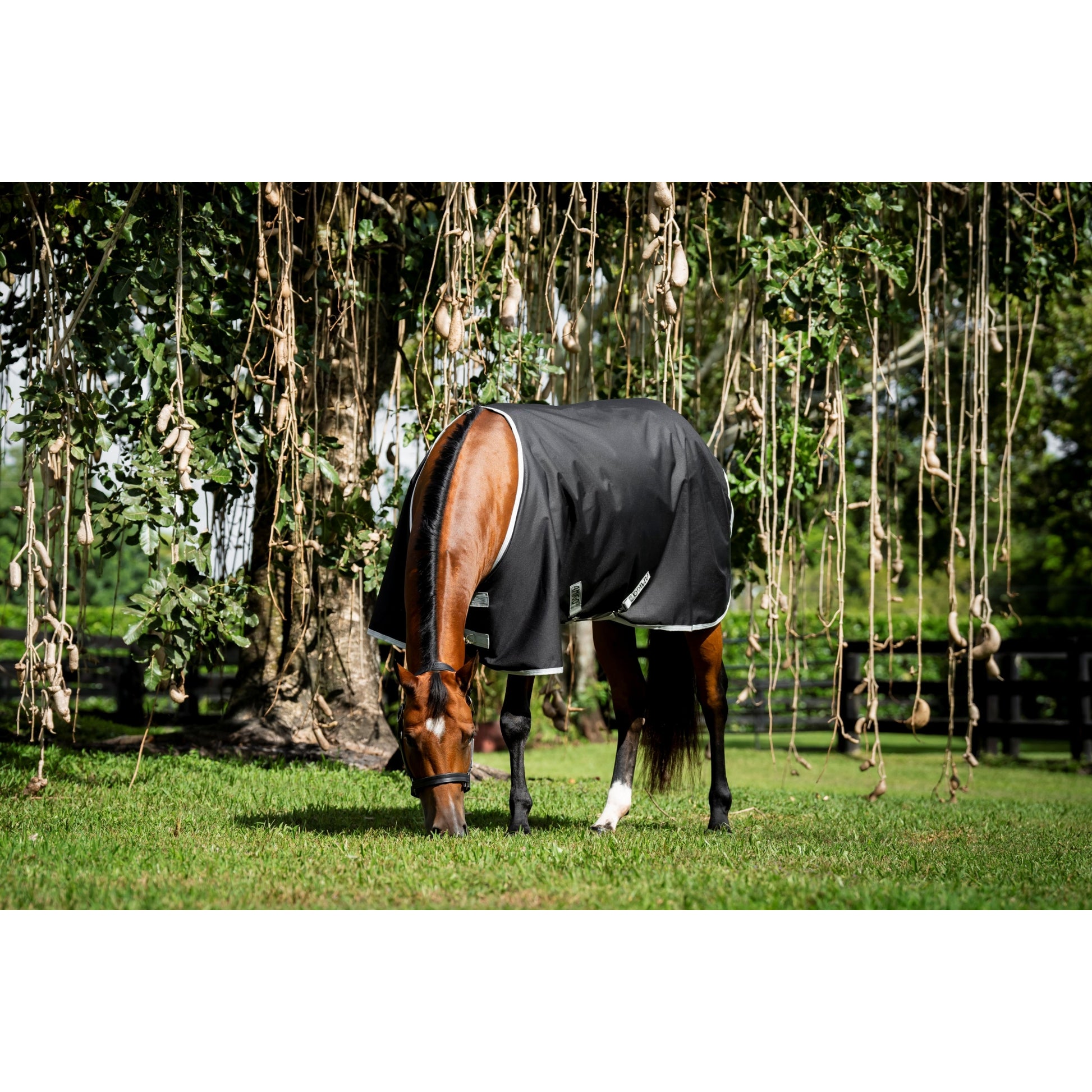 Amigo Ripstop 900D Q Hrs TO 200g
