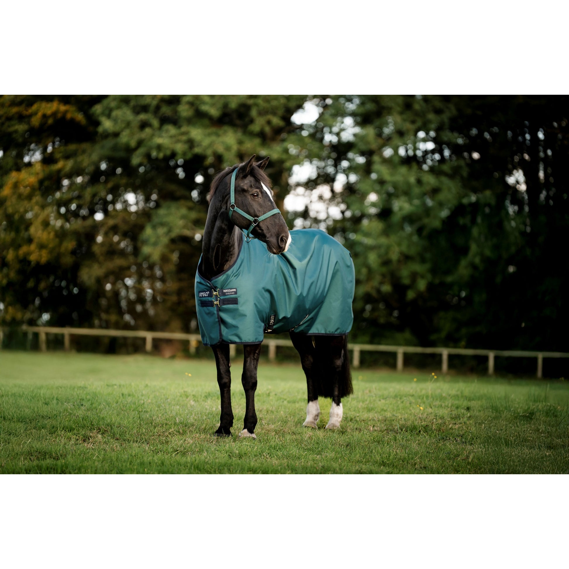Amigo Ripstop 900D Pony Turnout 0g