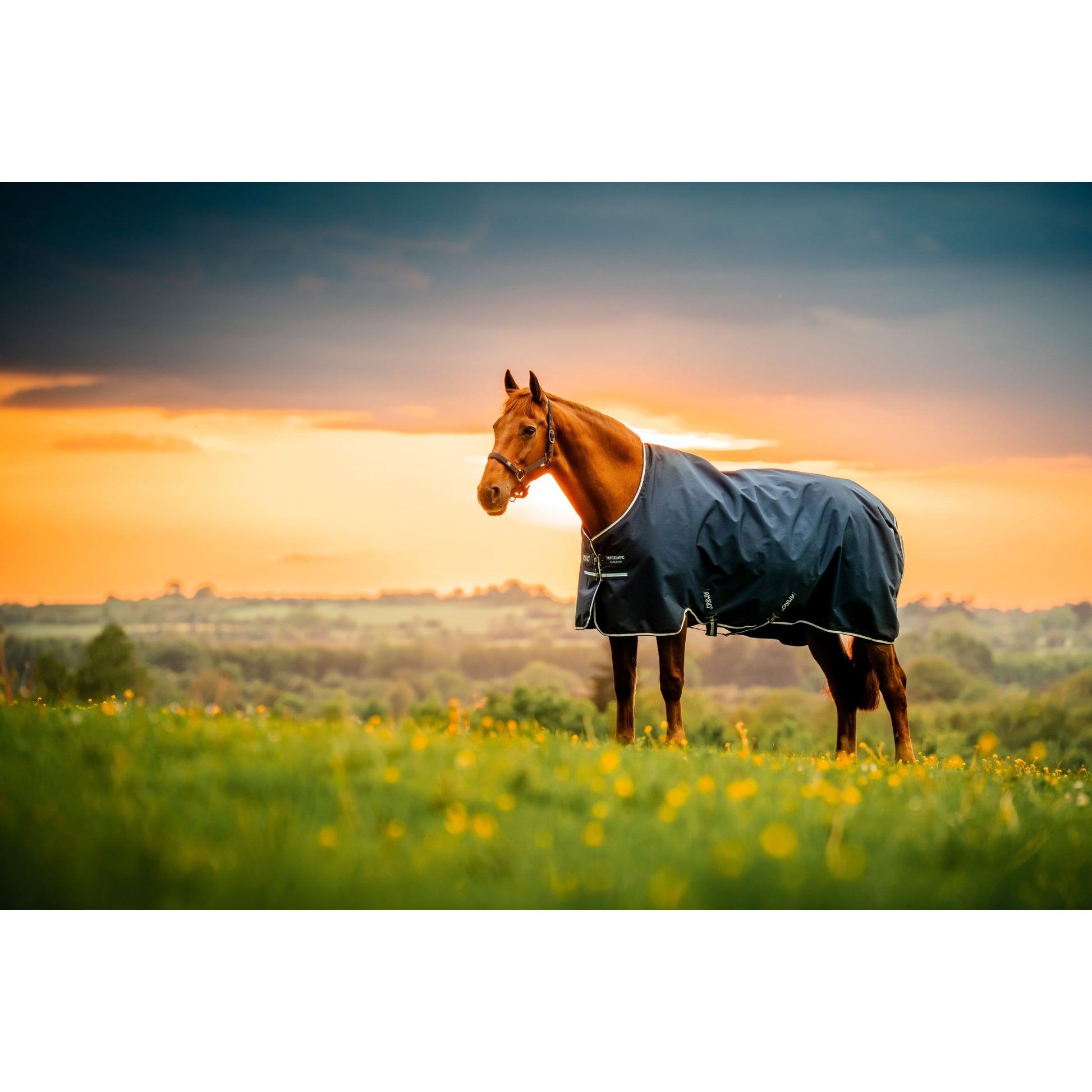Amigo Ripstop 900D Pony Turnout 100g