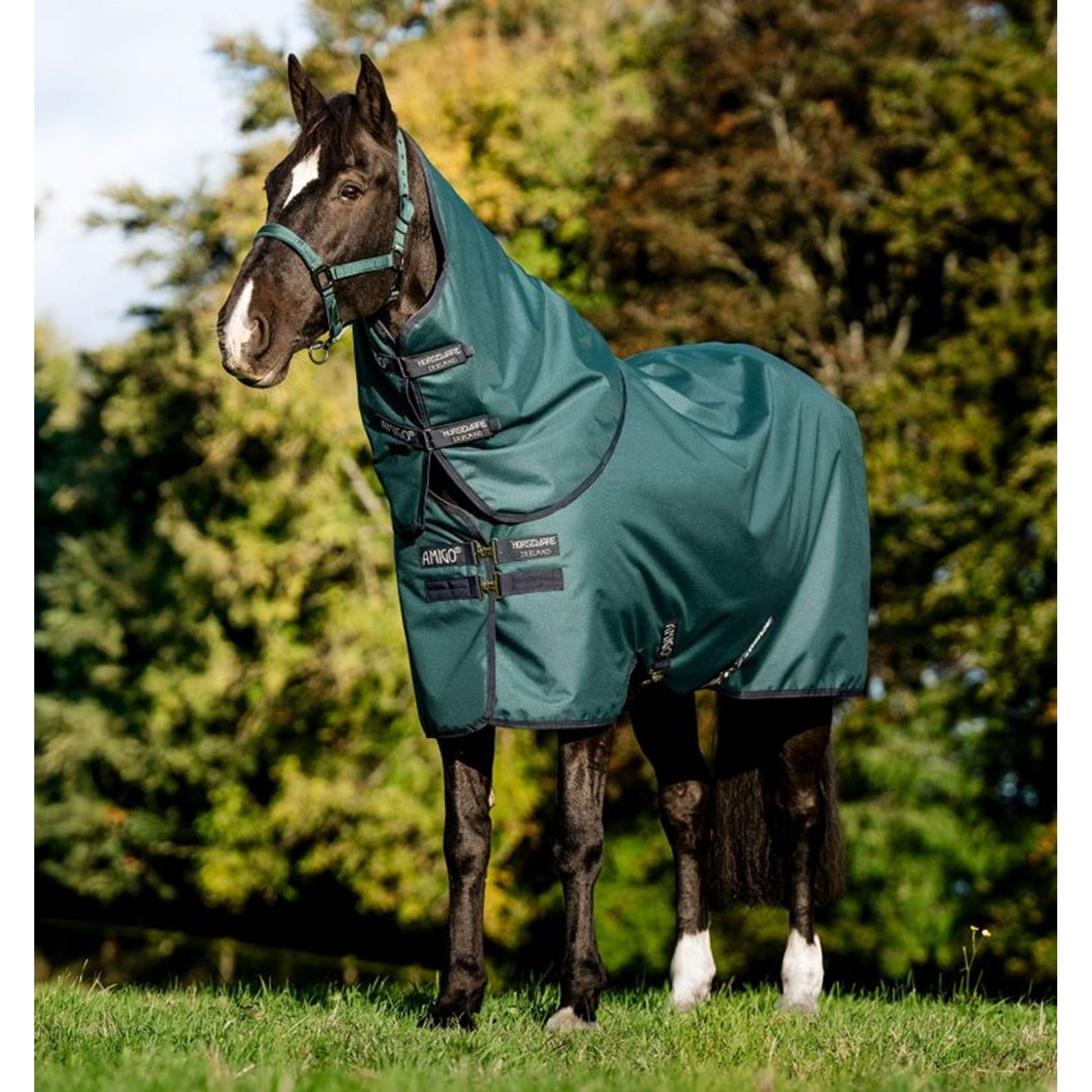 Amigo Ripstop 900D Plus Pony TO 50g