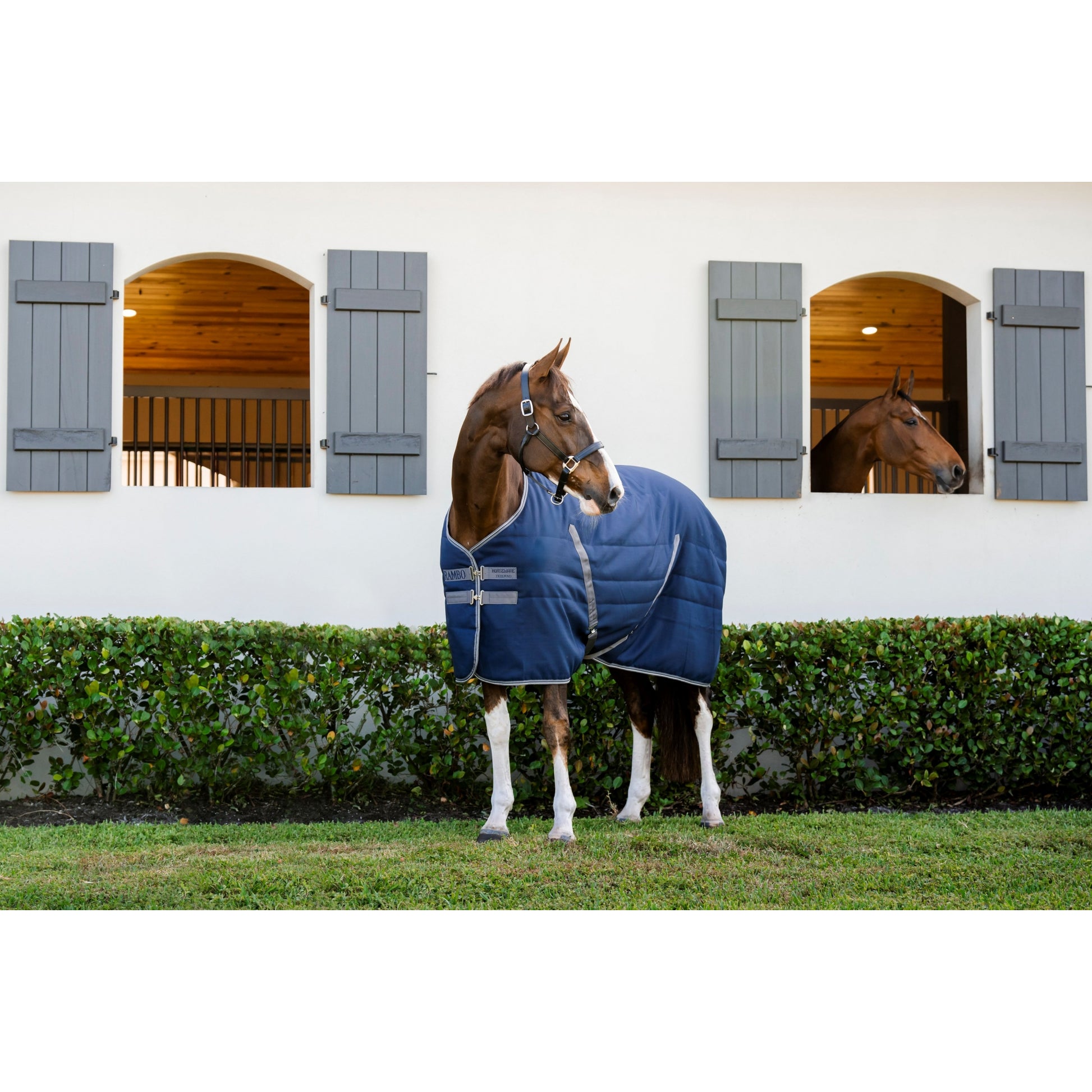 Rambo Stable 100g Embossed Lining