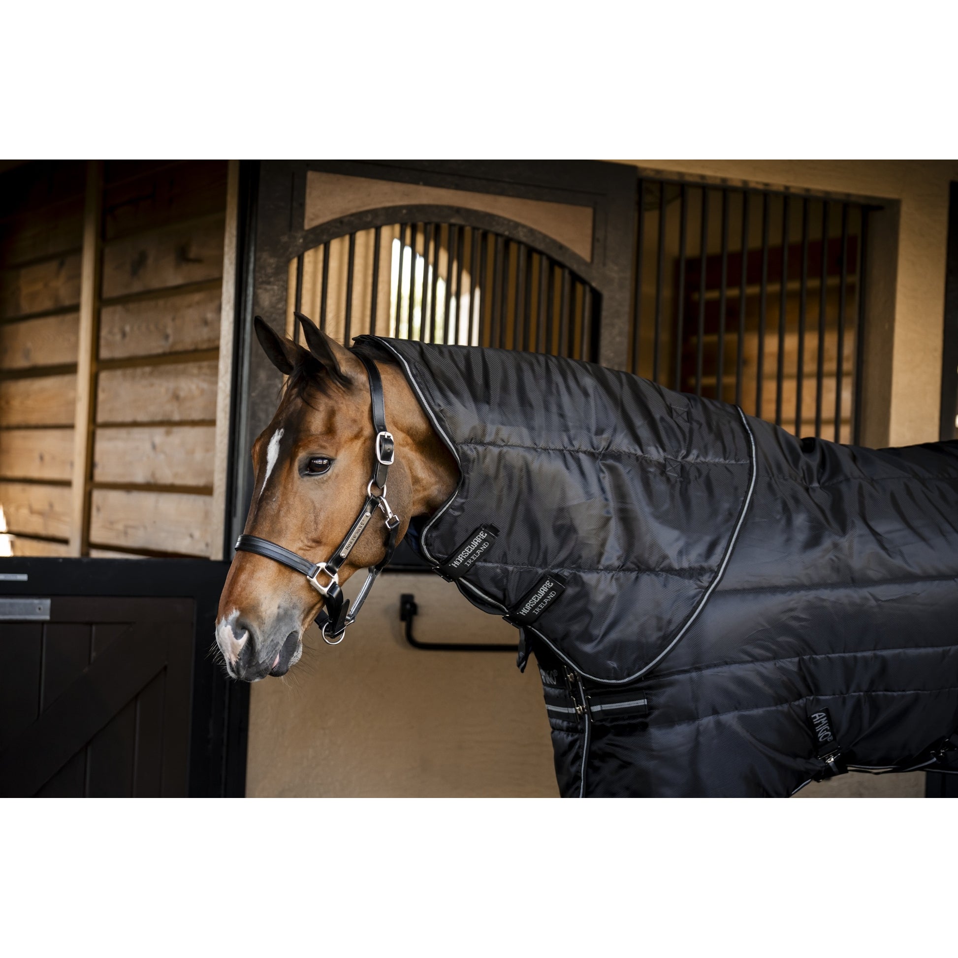 Amigo RS Insulator Plus Stable 200g