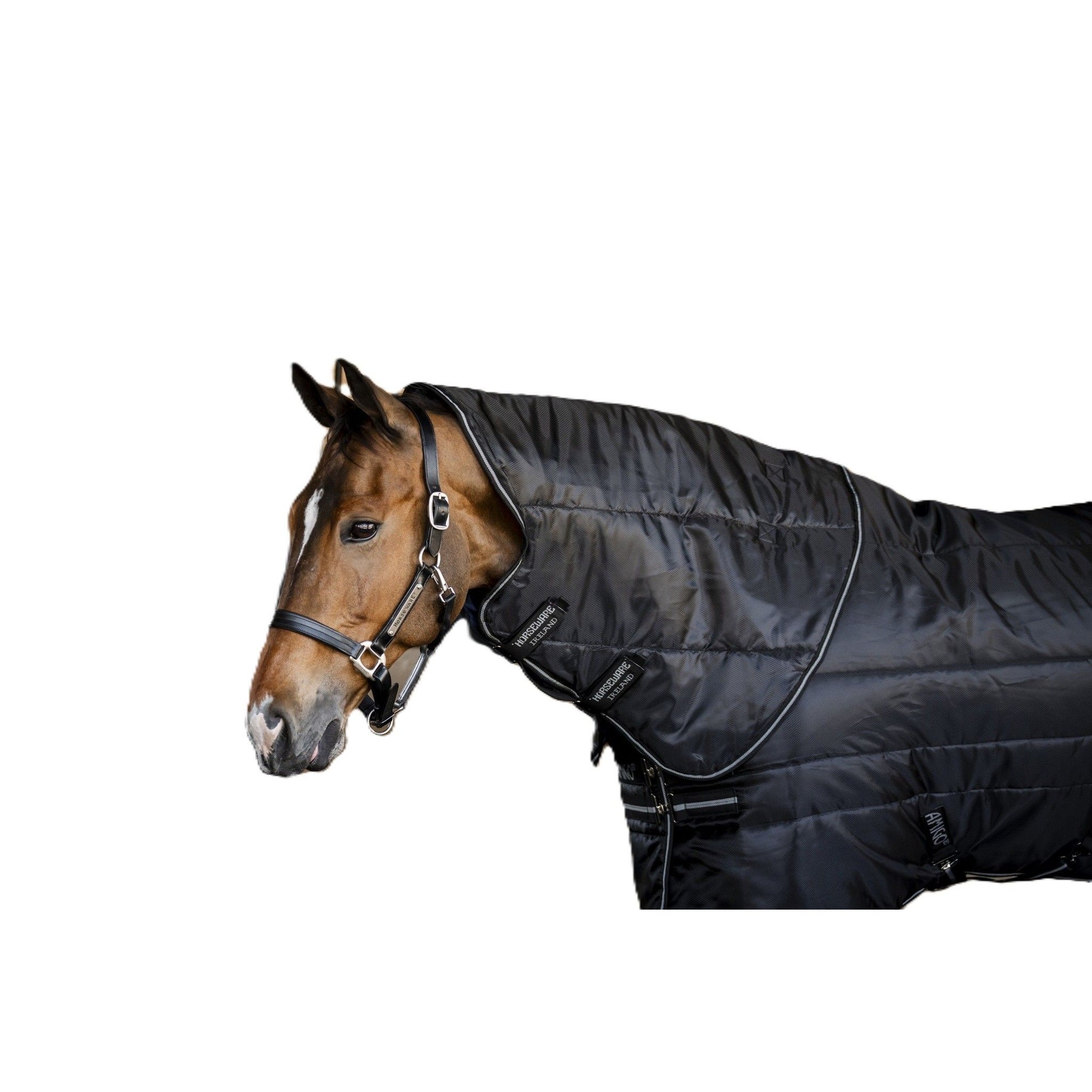 Amigo RS Insulator Plus Stable 350g
