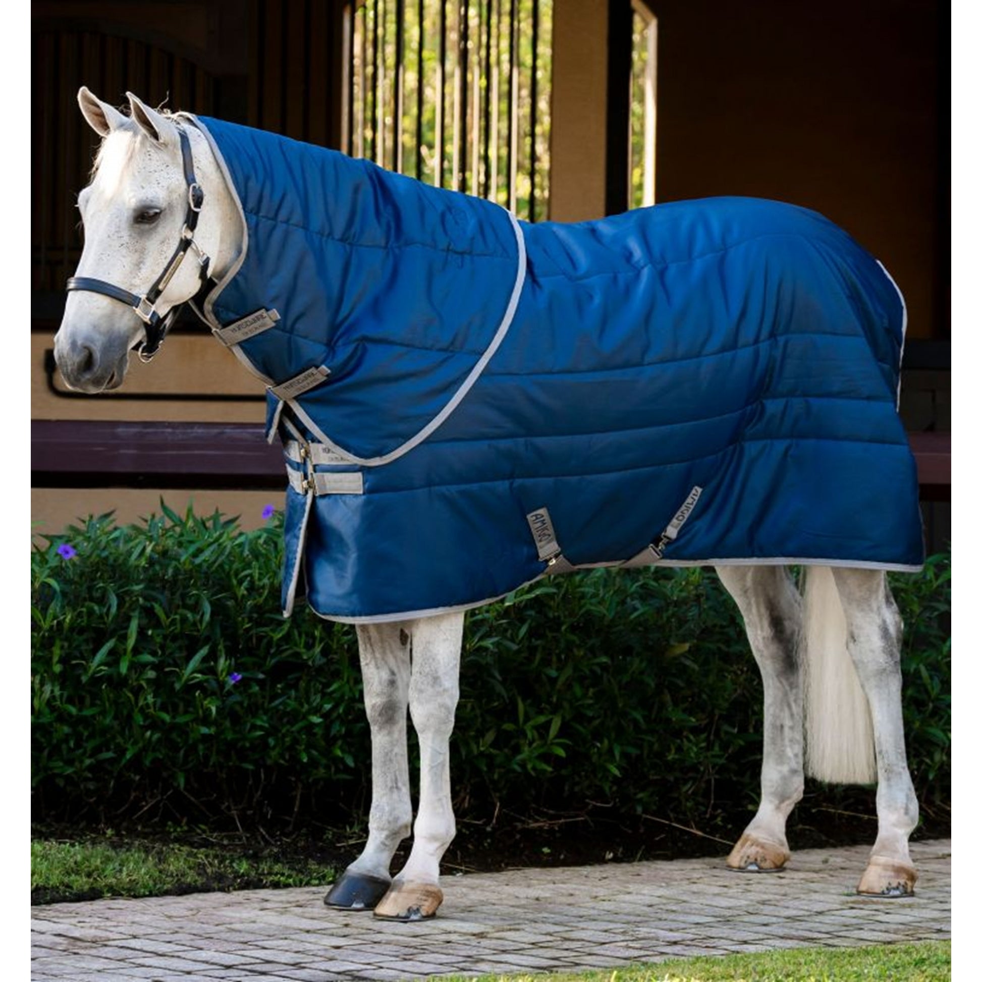 Amigo RS Insulator Plus Stable 550g