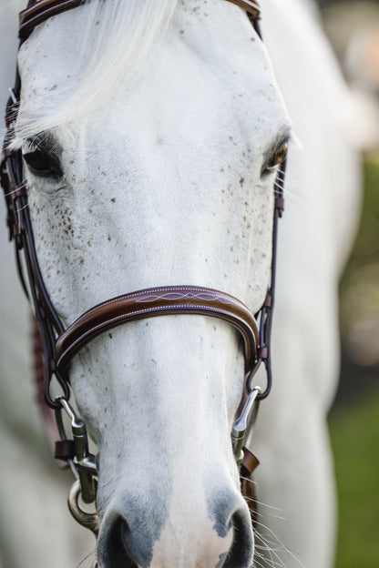 Horseware Hunter Cavesson Bridle