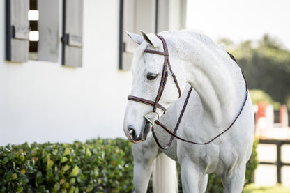 Horseware Hunter Cavesson Bridle
