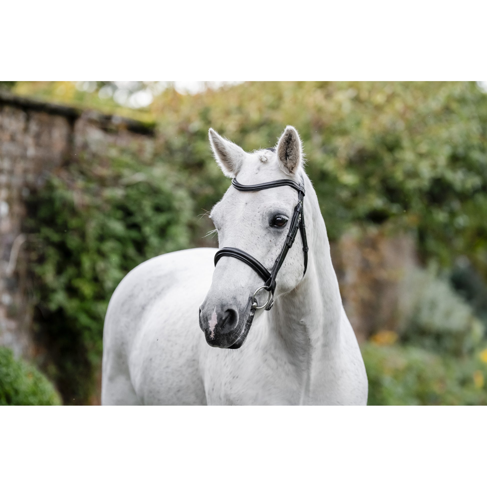 Horseware Pony Cavesson Bridle