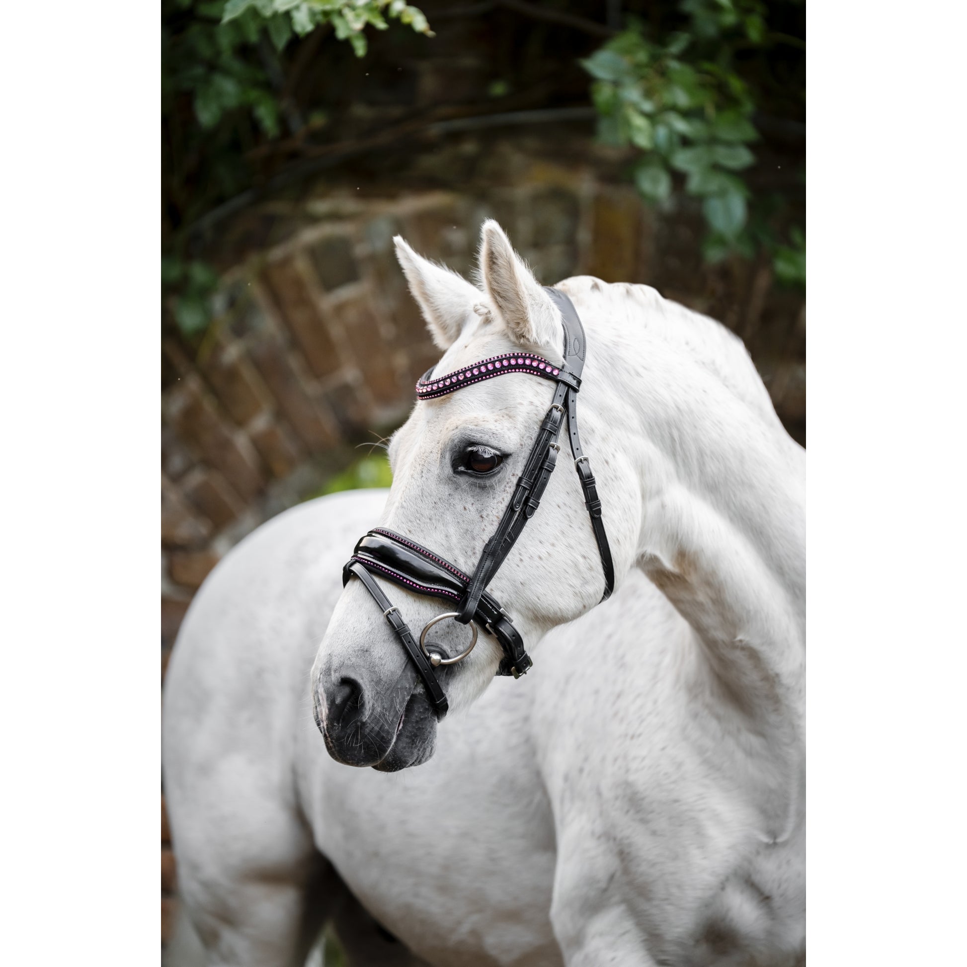 Horseware Pony Diamante Flash Bridle
