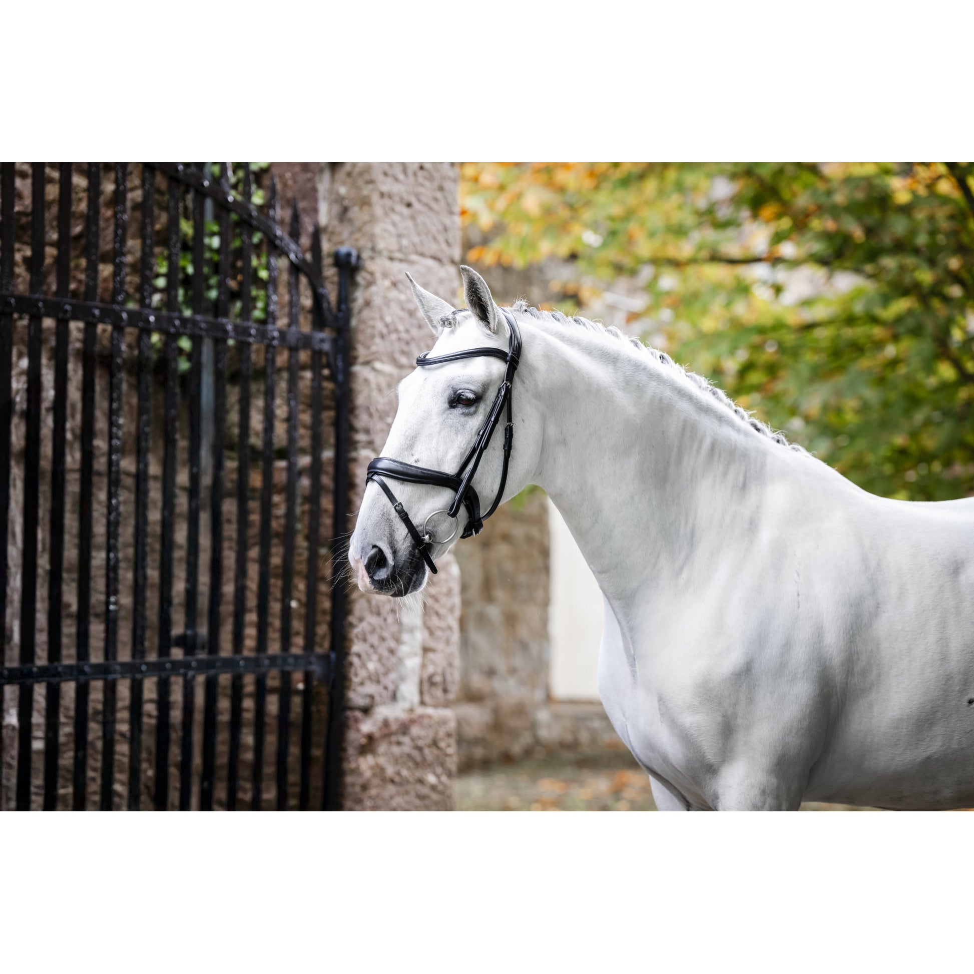 Horseware Dressage Flash Bridle