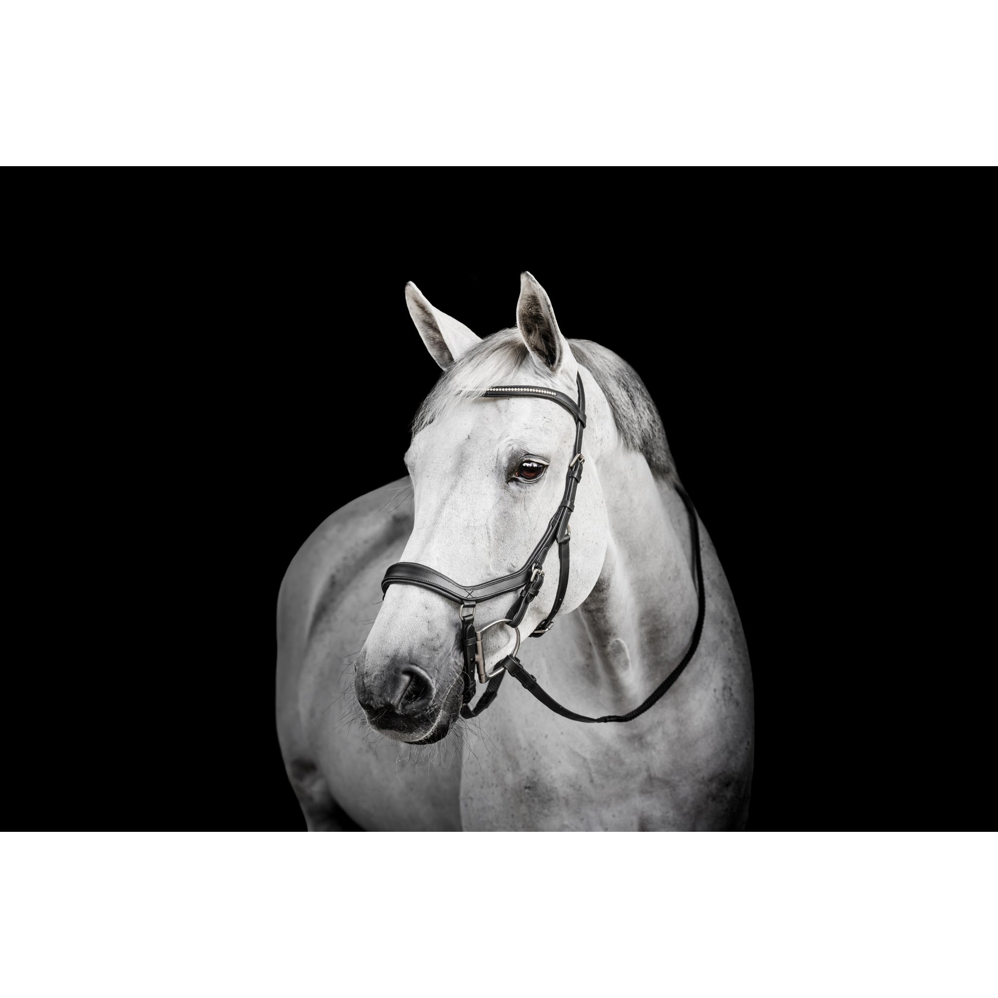 Horseware Micklem Diamante Competition