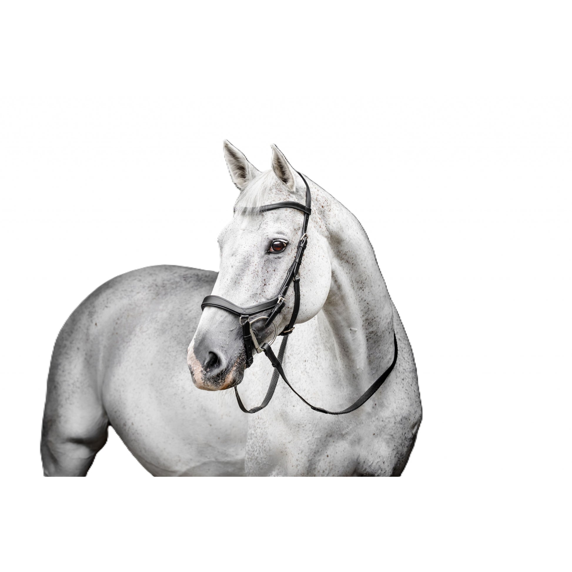 Horseware Micklem Deluxe Competition