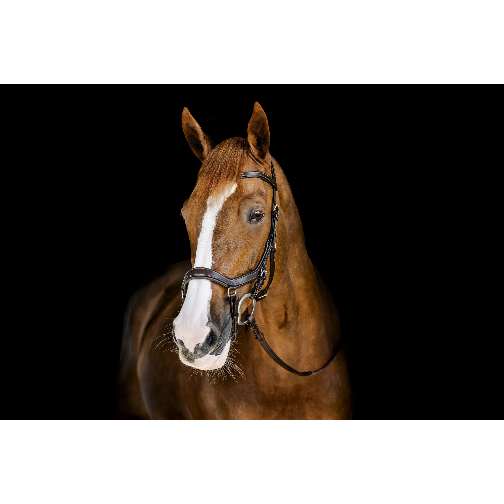Horseware Micklem Deluxe Competition
